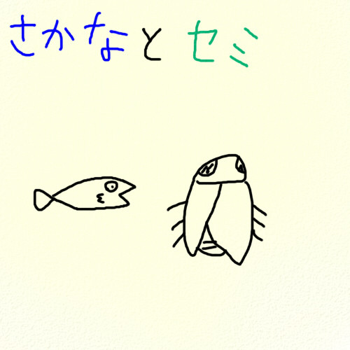 さかなとセミ