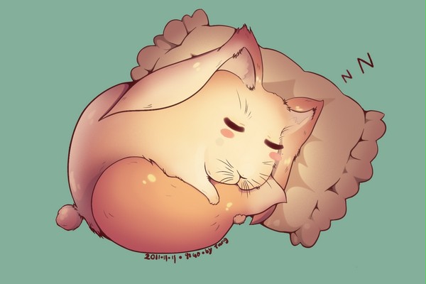 Rabbit