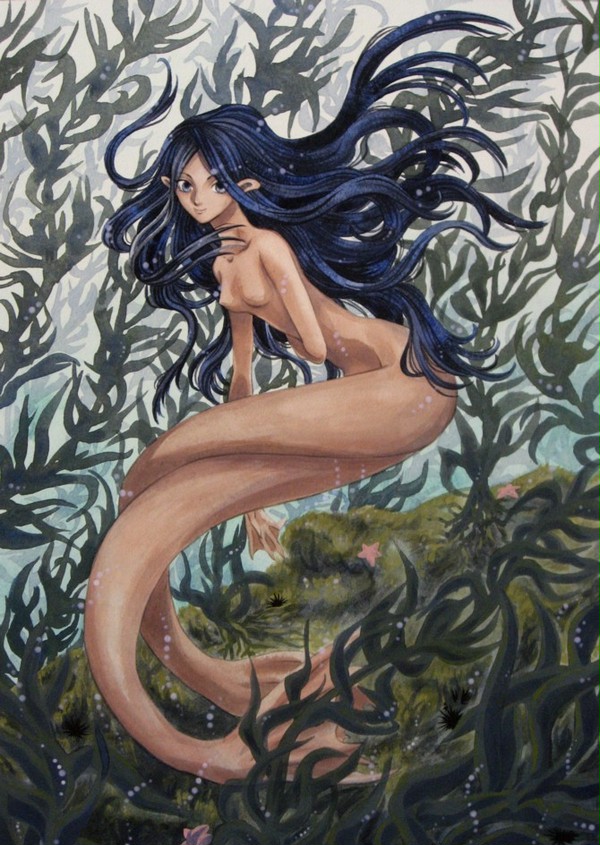 海人魚
