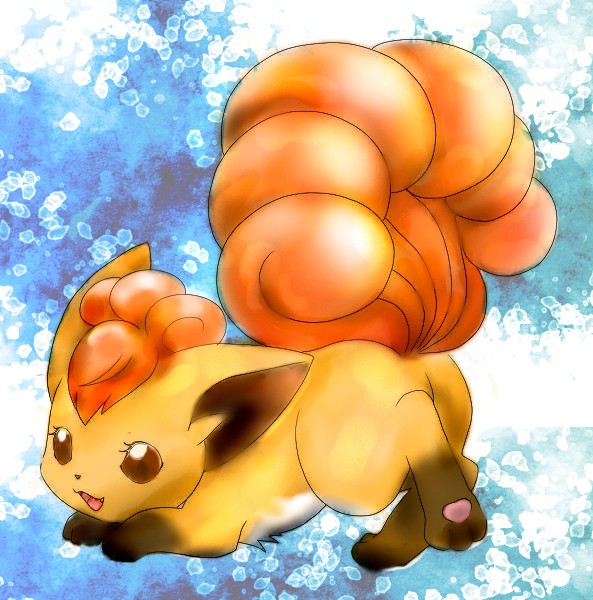 ROKON