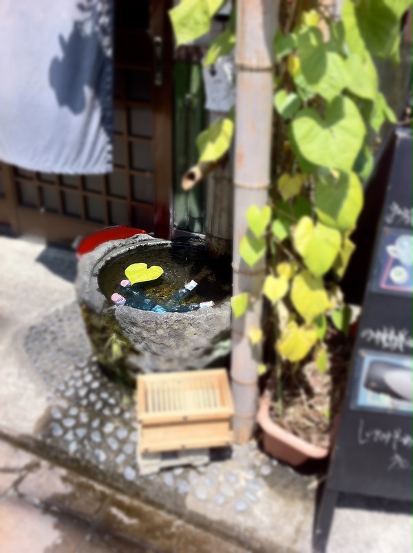 初夏の兆し