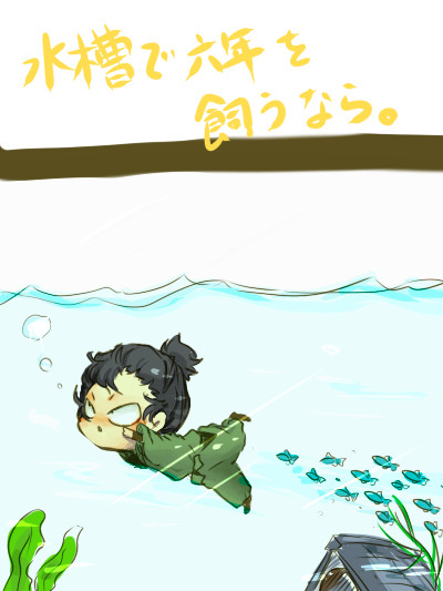 水槽で六年を飼うなら