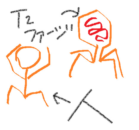 Ｔ2ファージ