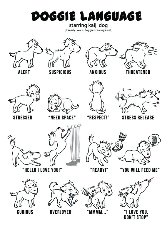 【パロ】犬の言葉