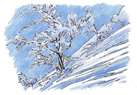 雪木立
