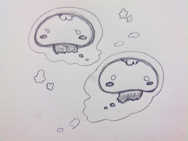 くらげの話。
