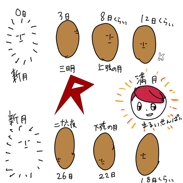 ジャコーの満ち欠け