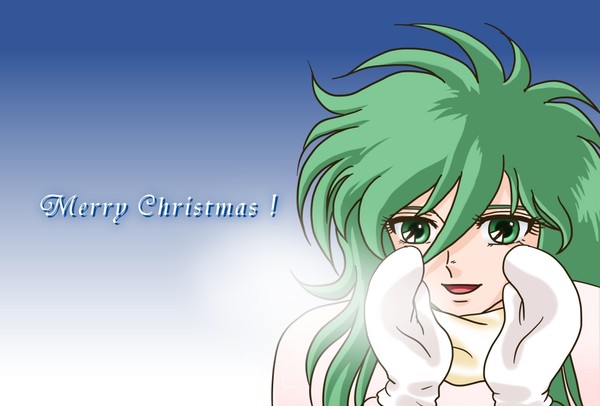 Merry Christmas !