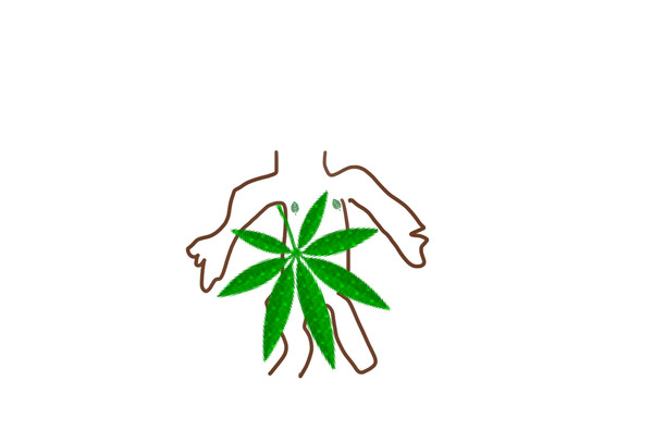 こてつさん