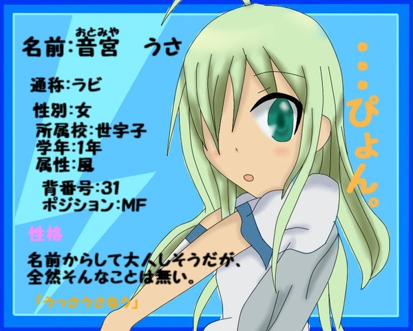 【絵師イナイレ化】音宮うさ【ぜうす】