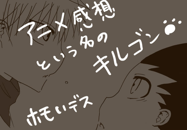【ハンター】感想という名のキルゴン