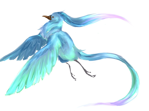 またまた鳥
