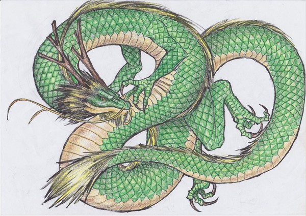 龍