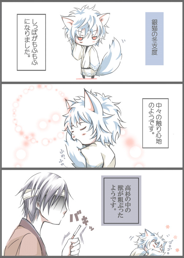 銀猫５