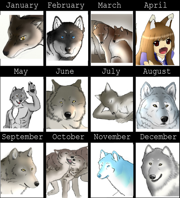 2011~まとめ
