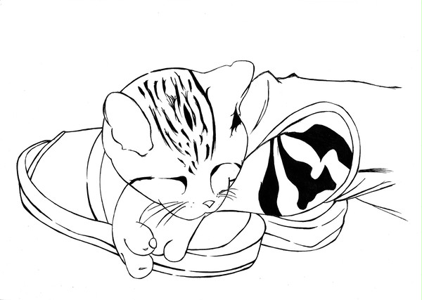 愛猫