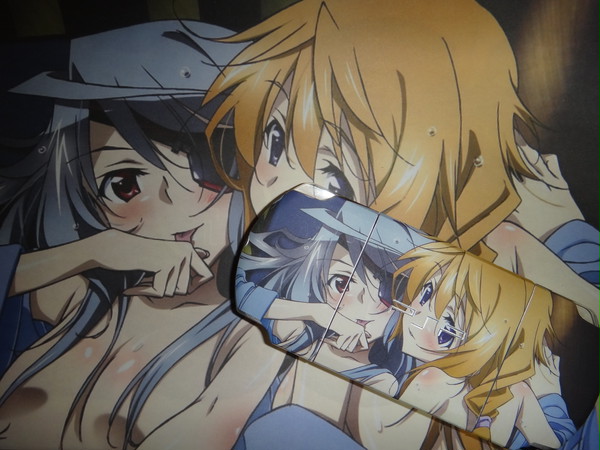 [IS]嫁のラウラ＆シャルルで痛PSP