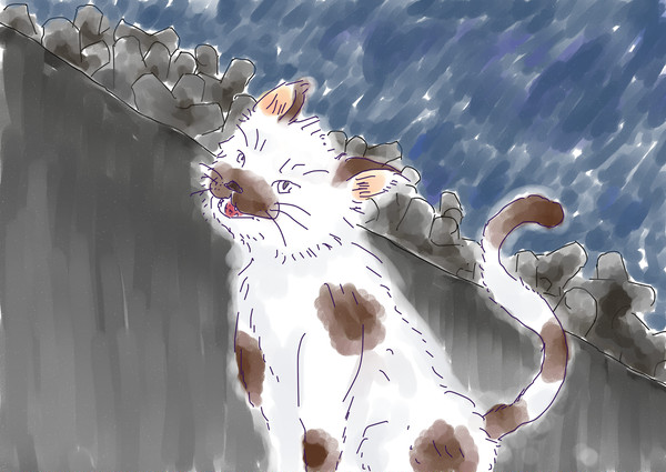 ぶちねこ
