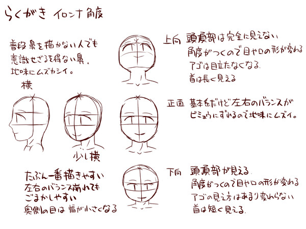 頭の見え方考察