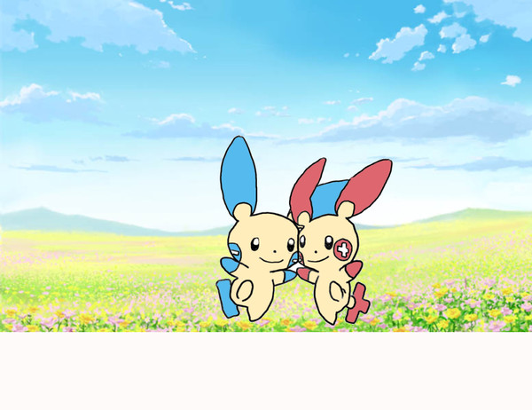 プラスルとマイナンの花畑