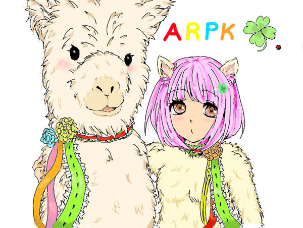 アルパカさん
