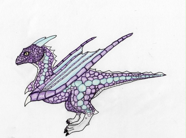 紫ドラゴン