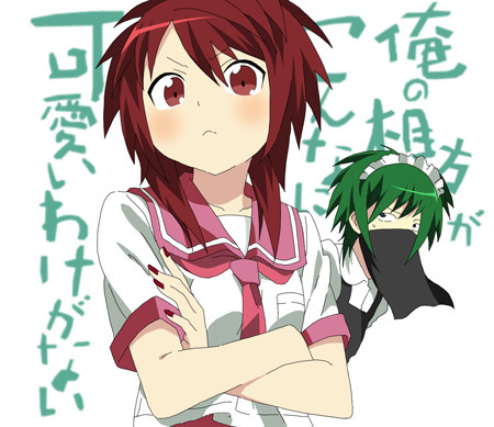 俺の相方がこんなに可愛いわけがない