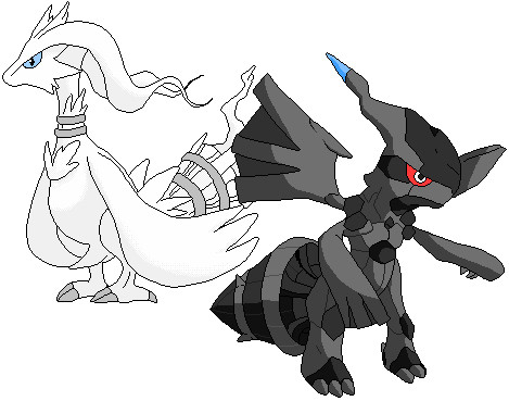 白黒ドラゴン