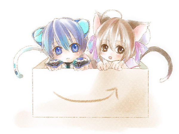 ねこモジュ箱
