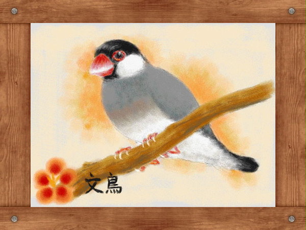 文鳥さま