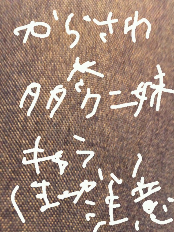 唐沢×タダクニの妹