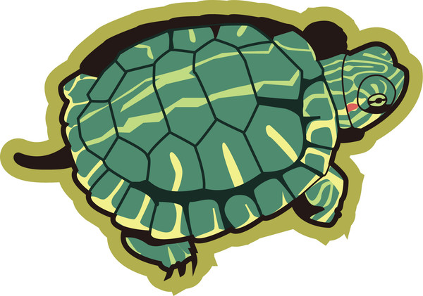 アカミミガメ