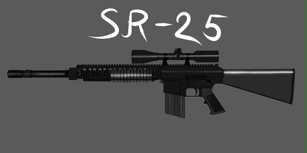 SR-25
