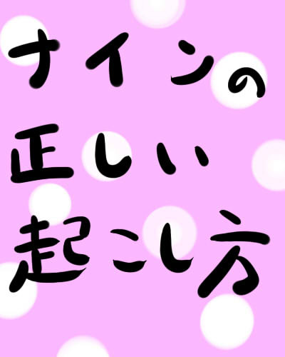 ナインの正しい起こし方講座（ナイデュ風味）