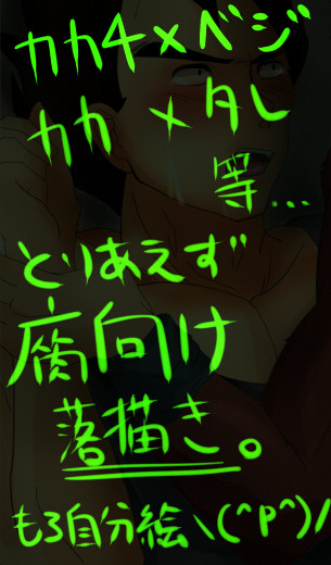【女性向け】DB落書き。