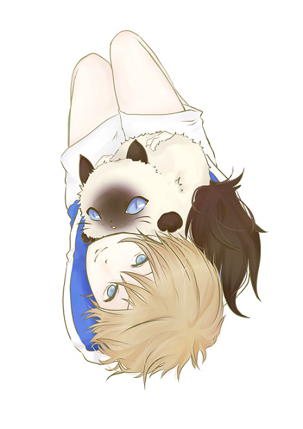 不二とカルピン