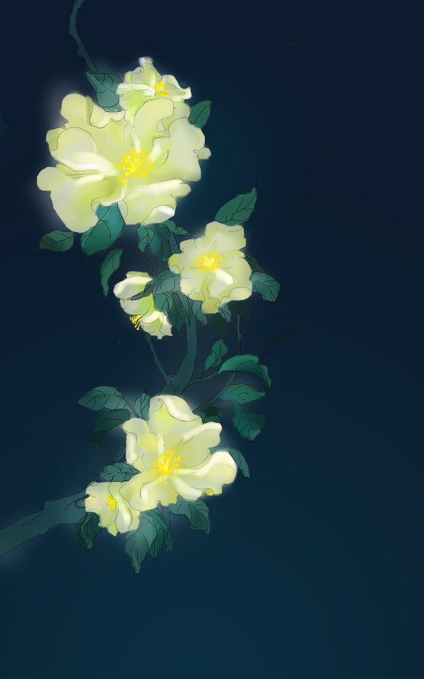 木芙蓉