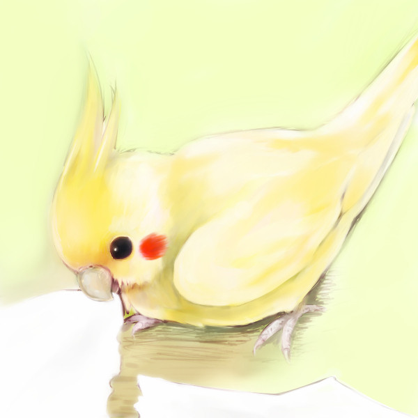 ちぎりたいの