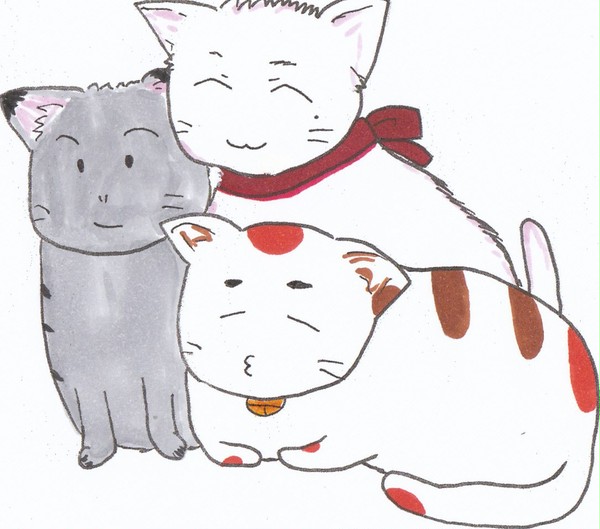 トニ猫