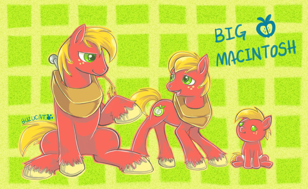 MLP:FIM