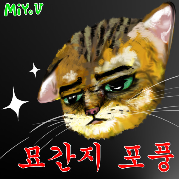 고양이