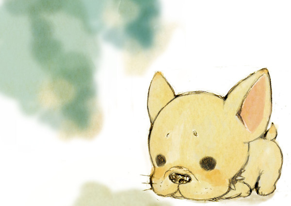 こてっちゃん