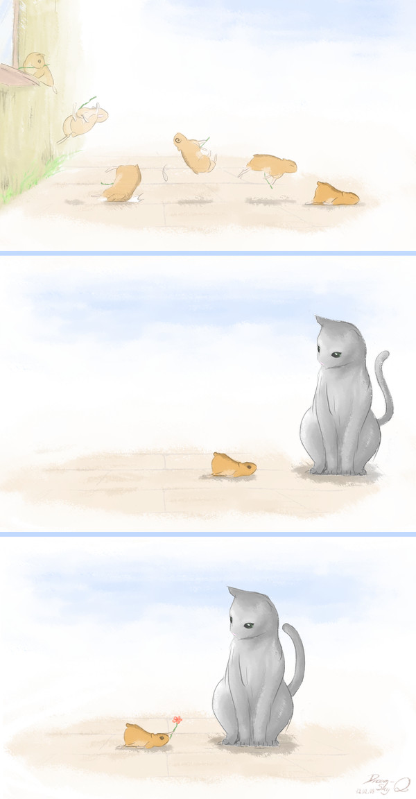 mice & cat