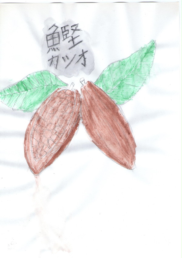 カツオ