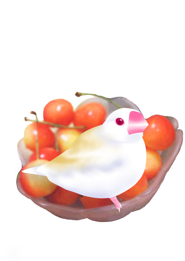 さくらんぼとアルビノ文鳥ひな