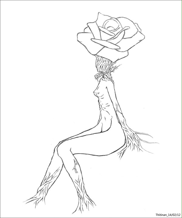 Rose