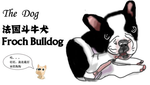 斗牛犬