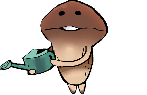 なめこ