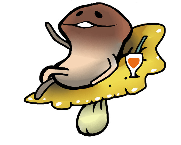 こしかけなめこ