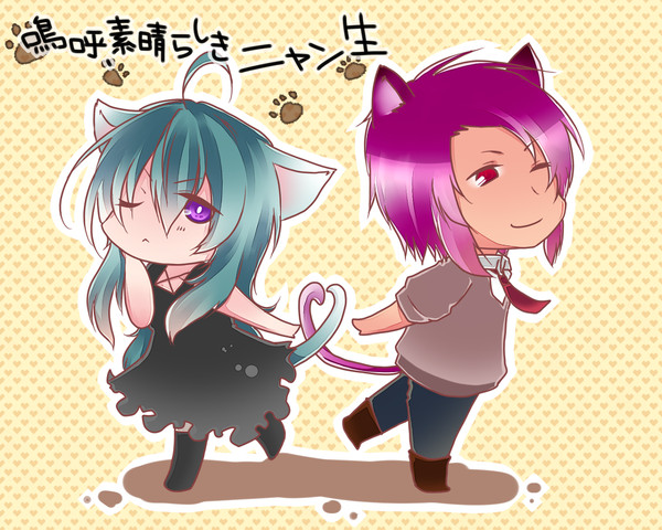 ニャン生。